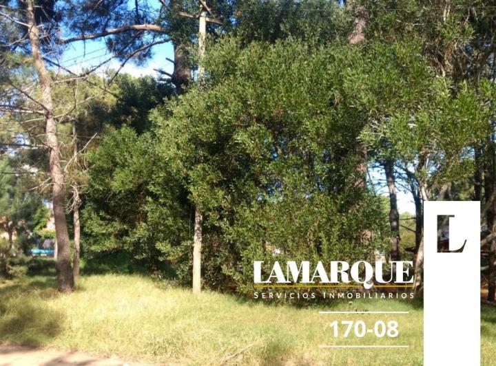 Terreno · 511ha · 3 Dormitorios