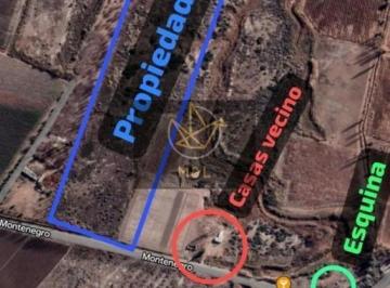 Quinta vacacional · 64ha · Venta Finca El Vergel Lavalle, Mendoza