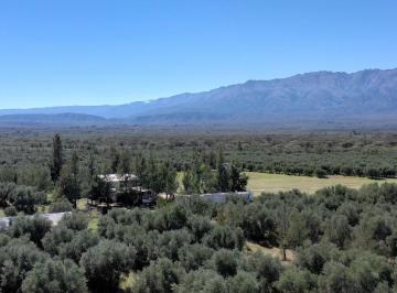 Campo , San Javier · Excelente Campo con Olivar