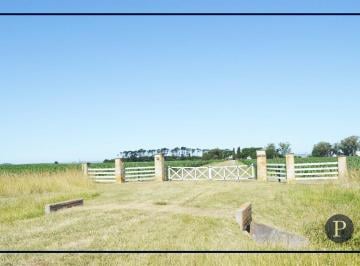 Campo · 1770000m² · Venta Campo 177 Ha Sobre Ruta 11