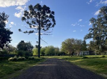 Terreno · 700m² · Terreno en Venta en Zona Oeste
