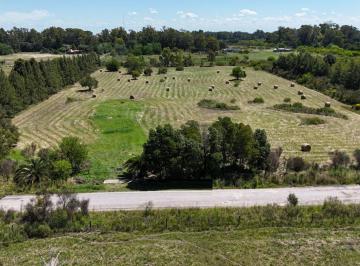 TVT-TVT-185_2 · 3 Ha, Veronica