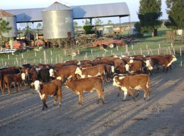 Campo · 20700000m² · 8 Ambientes · 3 Cocheras · Campo en Tostado 2070 Has