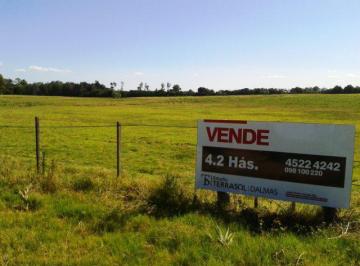Campo · 42000m² · Chacra - Colonia del Sacramento