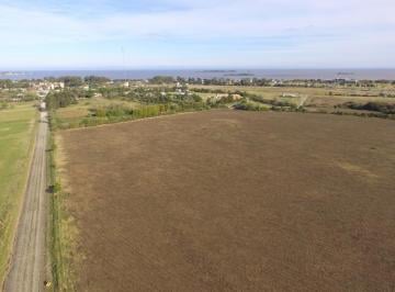 Campo · 90000m² · Chacra - Colonia del Sacramento