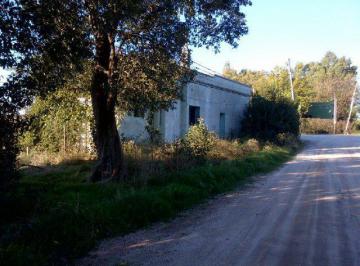 Campo · 6800m² · 4 Ambientes · Chacra - Colonia del Sacramento