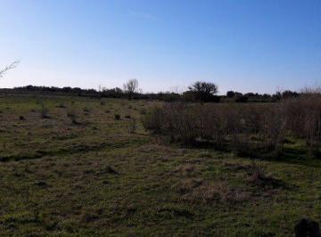 Campo · 70000m² · Chacra - Colonia del Sacramento