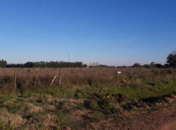 Campo · 30000m² · Chacra - Colonia del Sacramento