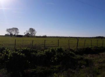 Campo · 420000m² · Chacra - Colonia del Sacramento