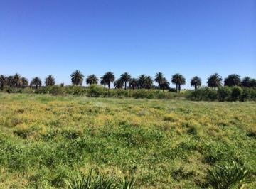 Campo · 20000m² · Chacra - Colonia del Sacramento