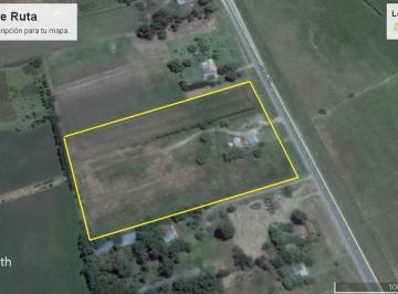 Campo · 100m² · Chacra - Colonia del Sacramento