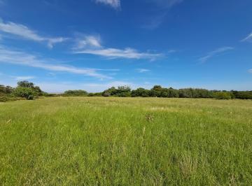 Campo · 12000m² · Chacra - Colonia del Sacramento