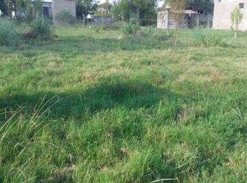 Terreno · 1000m² · Terreno - Nueva Palmira