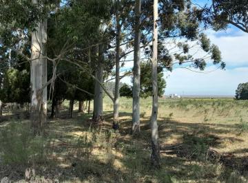 Campo · 50000m² · Chacra - Colonia del Sacramento