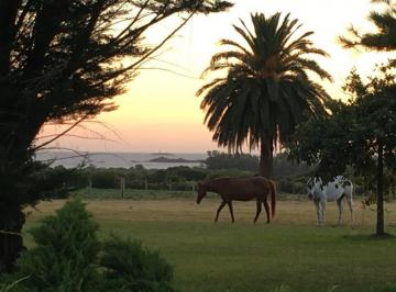 Campo · 400m² · 5 Dormitorios · Chacra - Colonia del Sacramento