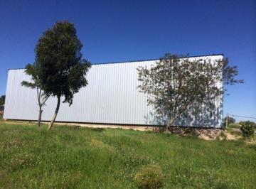 Campo · 380m² · 3 Ambientes · Chacra - Colonia del Sacramento