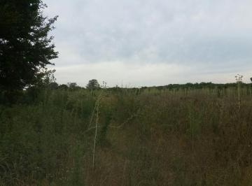 Campo · 56000m² · Chacra - Otras