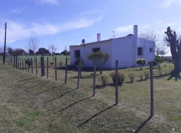 Campo · 34000m² · Chacra - Carmelo