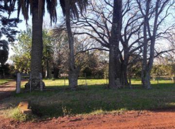 Campo · 70000m² · Chacra - Colonia del Sacramento