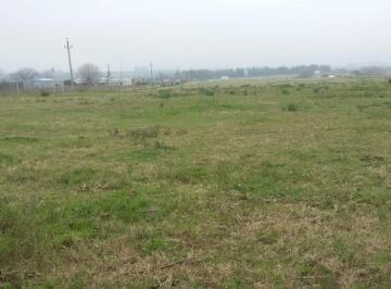 Campo · 119000m² · Chacra - Nueva Palmira