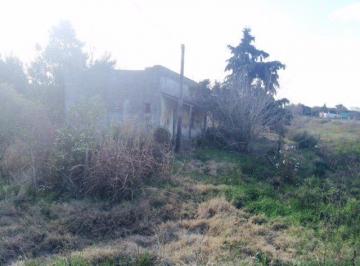 Campo · 14000m² · Chacra - Colonia del Sacramento