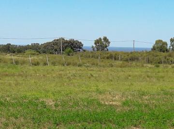 Campo · 10000m² · Chacra - Colonia del Sacramento