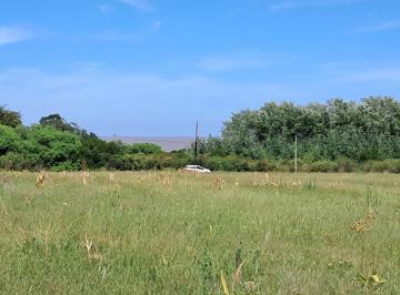 Campo · 12000m² · Chacra - Colonia del Sacramento