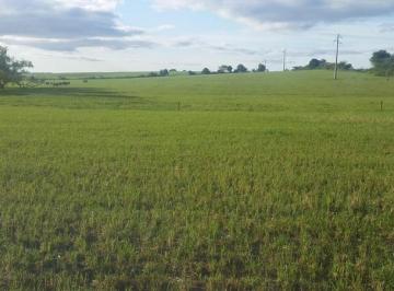 Campo · 180000m² · Chacra - Otras