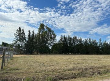 Terreno · 1000m² · Terreno - Real de San Carlos