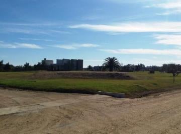 Terreno · 1000m² · Terreno - Colonia del Sacramento
