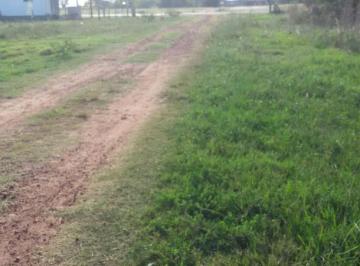 Terreno · 1000m² · Terreno - Nueva Palmira