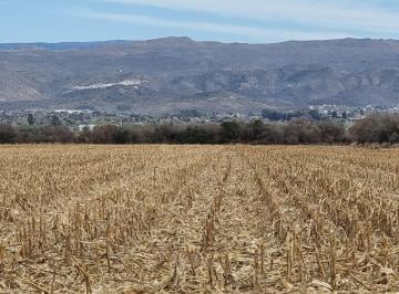 Campo , Alta Gracia · Se Vende Excepcional Campo en Alta Gracia