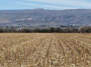 Terreno , Alta Gracia · Se Vende Excepcional Campo en Alta Gracia