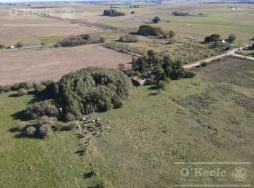 Campo · 2800000m² · 2 Dormitorios · Campo Mixto de 280 Has en Venta. Acceso Sobre Asfalto en Ranchos