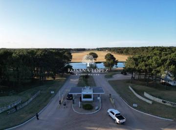 RLB-RLB-61_2 · Lote. | del Rodeo Al 100
