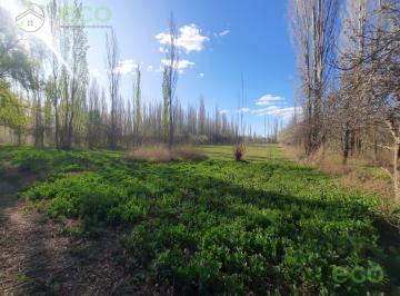 Terreno · 25000m² · Eco Alquila 2,5 Hs a 300 m de Carlos Isla Ruta 151 Cipolletti
