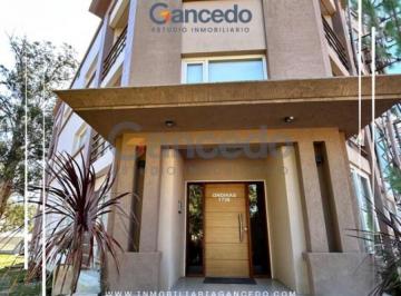 Departamento · 50m² · 2 Ambientes · Alquiler Temporario: Departamento de 1 Dormitorio en Pinamar