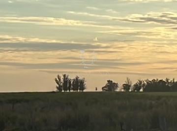 Foto1 · Campo en Florida