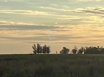 Foto1 · Campo en Florida