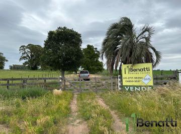 Campo · 390m² · 4 Ambientes · Campo 65,55ha (M²). Vivienda + Galpón de 200 m²