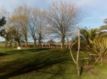 Terreno · 1670000m² · Terreno - San Andres de Giles