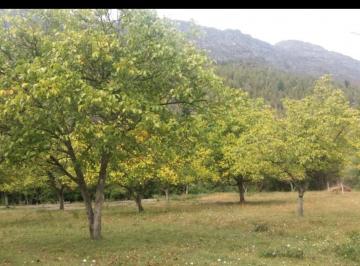 Terreno · 1600m² · Lote en Venta en Kalfukó - Villa del Lago - Chubut