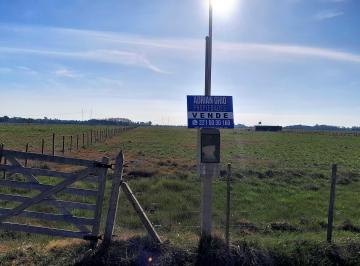 Terreno , La Plata · Lote de Terreno en Venta en Calle 62 E/ 288 y 312 de Gómez, Brandsen.