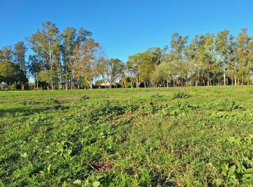 JSP-JSP-3473_2 · Venta de Lote en José Hernández, La Plata