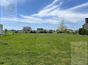 Terreno · 1300m² · Terreno en Venta en Magallanes