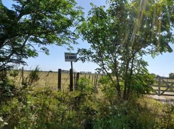 Campo · 2300000ha · Campo 230 Has en Bella Italia