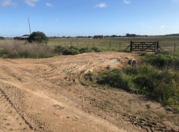 Campo · 60000m² · Chacra en Venta - General Madariaga