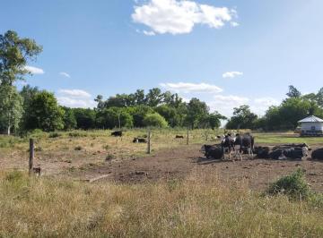 Campo · 163000m² · Venta Campo en Lobos 16 Has - Paraje Las Chacras