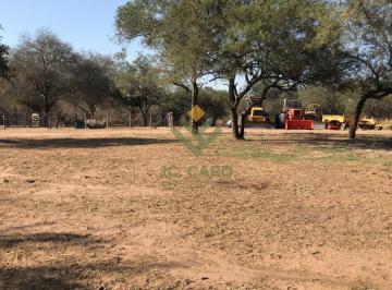 Campo · 31000000ha · Venta 3100 Has Ganaderas en Los Blancos