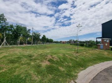 Terreno · 550m² · Lote - Venta - Santa Elisa - Pilar del Este - Perimetral